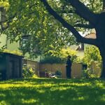 Gemeinschaftsgärten: Mehrwert für Nachbarschaften und Immobilien