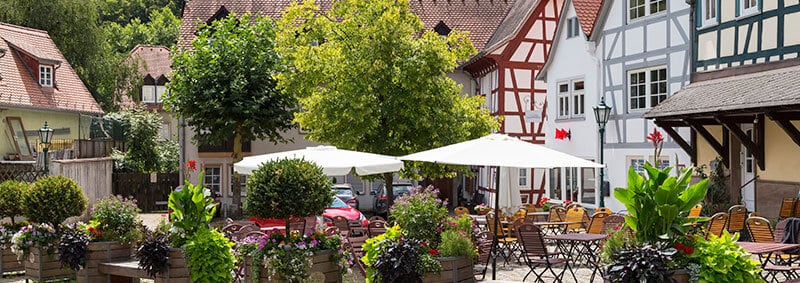 Stadt und Region Eppstein